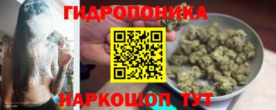 гашишное масло Сланцы