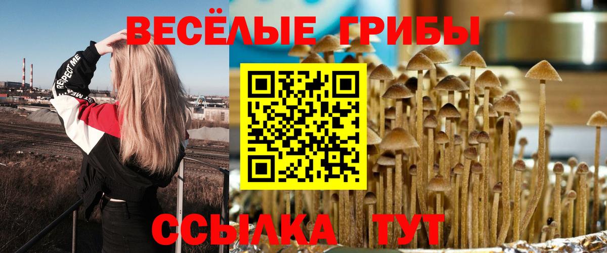 Псилоцибиновые грибы прущие грибы  Вход с VPN  Псилоцибиновые грибы ЛСД  Новочеркасск 
